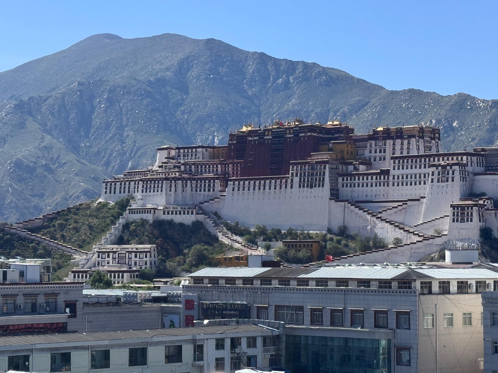 WhatsApp Image 2025-09-02 at 15.49.06_f52d8151